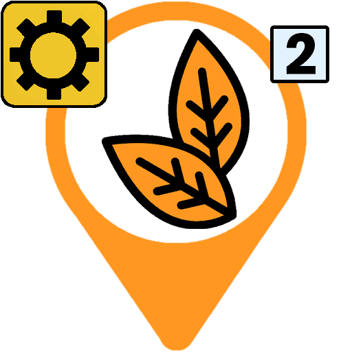 Traitement du Tabac en Feuille sécher 